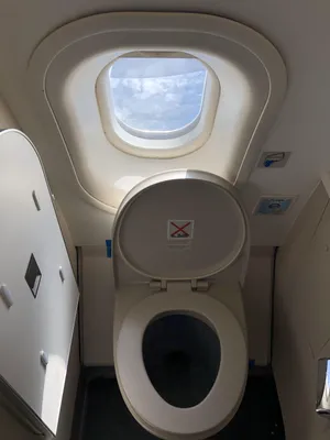 Как пользоваться туалетом в самолёте | Блог о приключениях Ксюши и Славы  Наймушиных