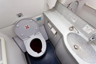 Ребенок не смог попасть в туалет в самолете и испражнился в сумку: Мир:  Путешествия: Lenta.ru