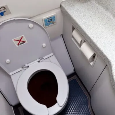 Почему в самолете не стоит использовать туалетную бумагу – объяснение  стюардессы