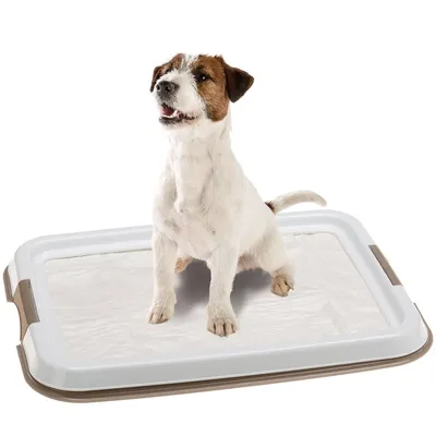 Купить Туалет для собак FERPLAST Hygienic Pad Tray Small (под пеленку) в  Бетховен