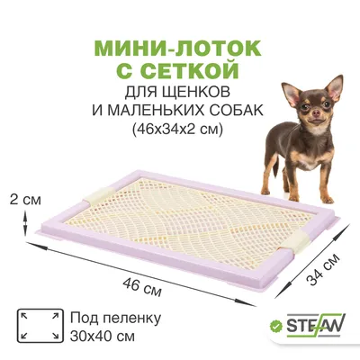 Stefan Туалет лоток для собак со стенкой под пеленку 28х50х38