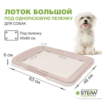Купить AnimAll туалет под пеленку с сеткой и столбиком для собак , голубой  в Киеве и по всей Украине - цена, отзывы в зоомагазине Зоодом Бегемот