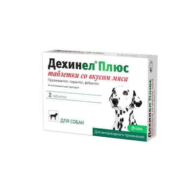В центре Иркутска догхантеры травят собак таблетками от туберкулеза - KP.RU