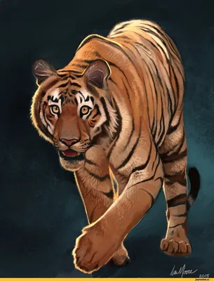 Туранский тигр - 65 фото