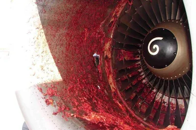 большая турбина самолета на крыле самолета Стоковое Изображение -  изображение насчитывающей ротор, поршень: 158054533