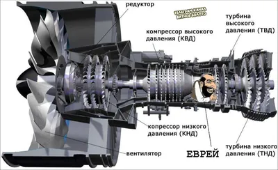 В Индии мужчину засосало в турбину самолета // Новости НТВ