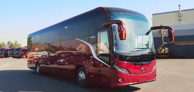 Четыре завода в России готовы выпускать туристические автобусы