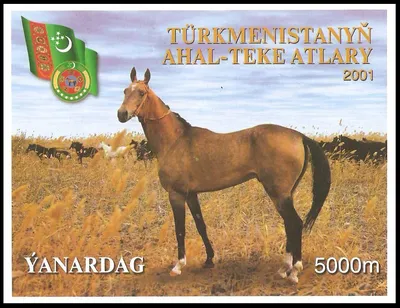 Туркменский лидер посетил конный комплекс и написал стихотворение