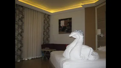 Фото отеля Delphin Palace Deluxe 5 звезд (дельфин палас делюкс) - Турция,  Анталья. Фотографии туристов. Страница 7