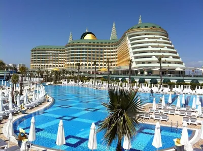 Турция отель дельфин фото 