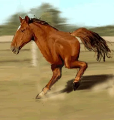 Создать мем \"двуногий конь бежит, двуногий конь, тыгыдымский конь\" -  Картинки - Meme-arsenal.com