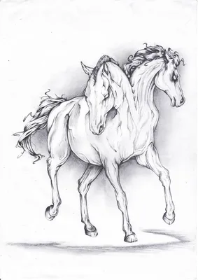 Тыгыдымский конь | Пикабу