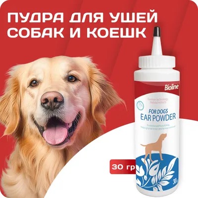 Отит ушей у собаки - симптомы и рекомендательные препараты для лечения