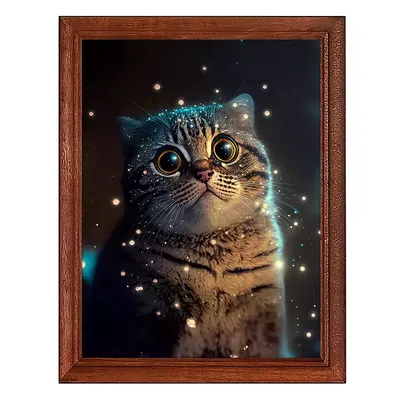 Удивленный кот Бриллиантовая мозаика/круглый алмаз /30 * 40 см - купить с  доставкой по выгодным ценам в интернет-магазине OZON (1304984033)