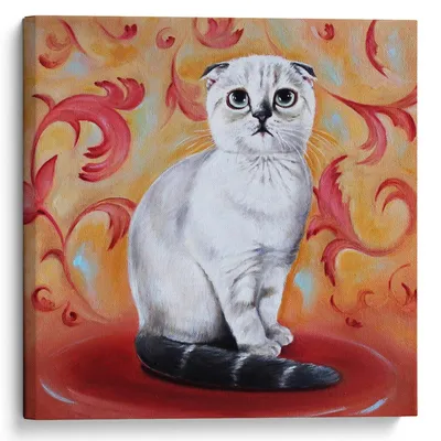 Удивленный кот, открыт-наблюданный кот, животный в изумлении, странном  взгляде, в ударе Стоковое Изображение - изображение насчитывающей портрет,  отечественно: 135884821