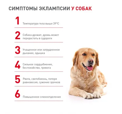 Милпразон антигельминтик для щенков и собак до 5 кг в Санкт-Петербурге