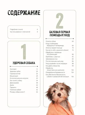 Уколы собакам (62 фото) - картинки sobakovod.club