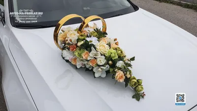 Украшение автомобиля кольцами на свадьбу, как украсить автомобиль  свадебными кольцами