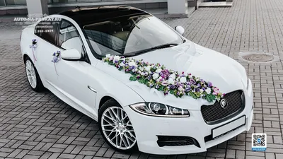 Вариант украшений для свадебного авто №04, украшение авто на свадьбу в  Великом Новгороде