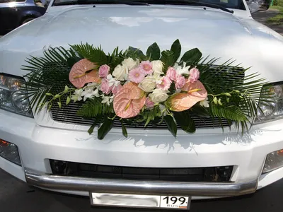 Свадебные украшения на машину в Городце: 24 флориста с отзывами и ценами на  Яндекс Услугах.