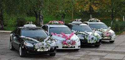 Кыргызские свадьбы: лимузины вышли из моды, в кортежах лексусы и  гелендвагены