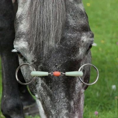Крышка для рта лошади Предотвращает укус Лошади Снаряжение для верховой  езды Контролирует потребление лошадью пищи 8216012 | AliExpress