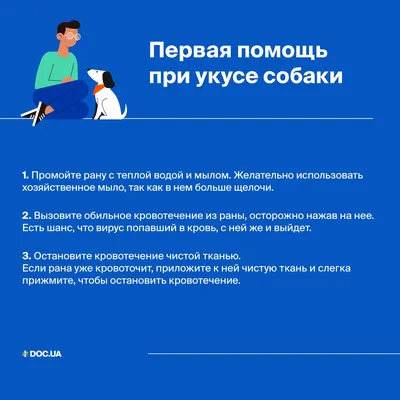 Ответы Mail.ru: Укус собаки. Это опасно?