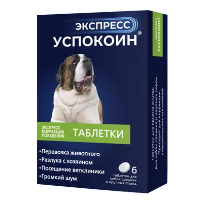 Гадюка укусила собаку в Кирове