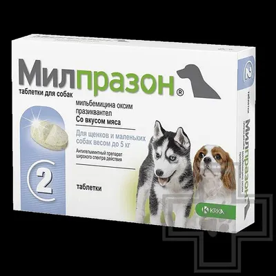 Elanco Адвантикс капли от блох, клещей и комаров для собак весом более 25  кг - 1 пипетка | Купить в Москве