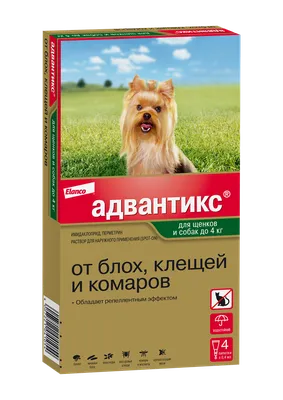 ОПУХОЛЬ ТУЧНЫХ КЛЕТОК У СОБАК— ModernVet