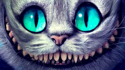 Кабошоны улыбка Чеширского кота + глазки - купить по выгодной цене |  Брошка-матрешка