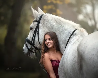 Улыбка лошади стоковое изображение. изображение насчитывающей взорвать -  32787431