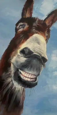 А ваша лошадь умеет улыбаться 😅😍?#лошадь #улыбка #спирит #конь #жере... |  TikTok