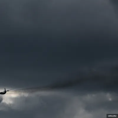 В России упал самолет L410 с парашютистами: сколько погибших – фото