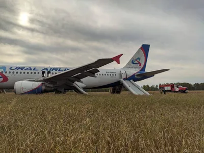 В Польше упал самолет - все детали трагедии — УНИАН
