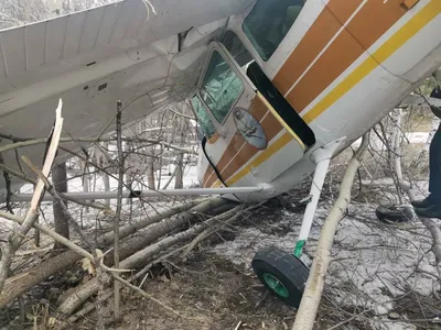 В Польше упал легкомоторный самолет, погибли 5 человек | Новости Беларуси |  euroradio.fm