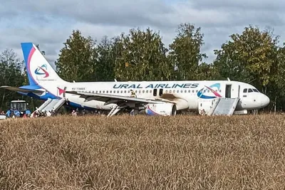 Подававший сигнал бедствия самолет Сочи-Омск сел в поле под Новосибирском -  Российская газета