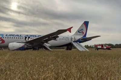 Самолет Сочи — Омск экстренно сел в Новосибирской области - 12 сентября  2023 - v1.ru