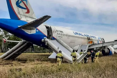 Воровской конфликт\": бывший летчик рассказал о причинах катастрофы рейса  Ереван-Сочи