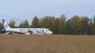 В Сочи видеоблогер нашел обломок самолета на берегу моря