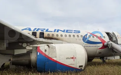 NEWSru.com :: В ходе поисков Ту-154, упавшего под Сочи, нашли американский  самолет времен Великой Отечественной войны