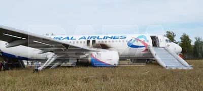 Экипаж A320 спас 167 человек, посадив самолёт в поле под Новосибирском