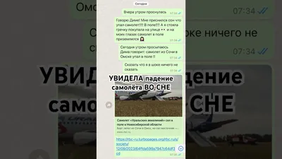 Мы провалились и начали падать»: пассажиры рейса Екатеринбург — Сочи — о  том, как молния ударила в самолет. Падение самолета. Сентябрь 2021 - 28  сентября 2021 - 74.ru