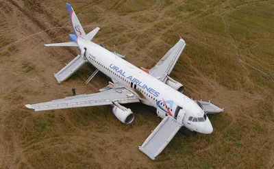 Уральские авиалинии» оставят севший в поле самолет на несколько месяцев —  РБК