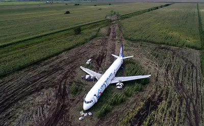 В авиакомпании показали фото экипажа после посадки самолета в поле в  Новосибирской области - 12 сентября 2023 - НГС