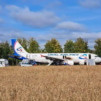 Уральские авиалинии\" отменили рейсы в Таджикистан и Узбекистан: причина