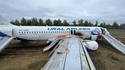 Уральские авиалинии» попытались запустить лоукост-проект, но сразу же от  него отказались: Общество: Облгазета