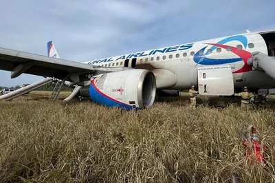 В «Уральских авиалиниях» исключили связь посадки в поле с санкциями — РБК