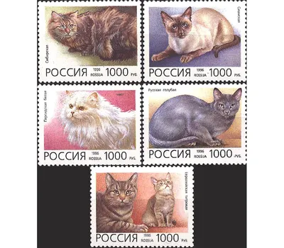 Royal Canin Urinary S/O LP 34 Feline корм сухой диетический для взрослых  кошек при мочекаменной болезни – купить в Москве, цены | Интернет-магазин  Динозаврик
