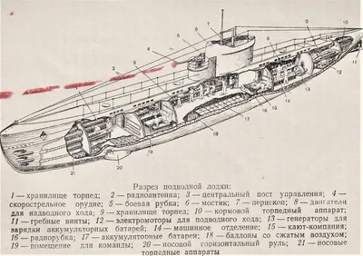 Первый в мире старт баллистической ракеты с подводной лодки - Музей истории  подводных сил России имени А.И. Маринеско